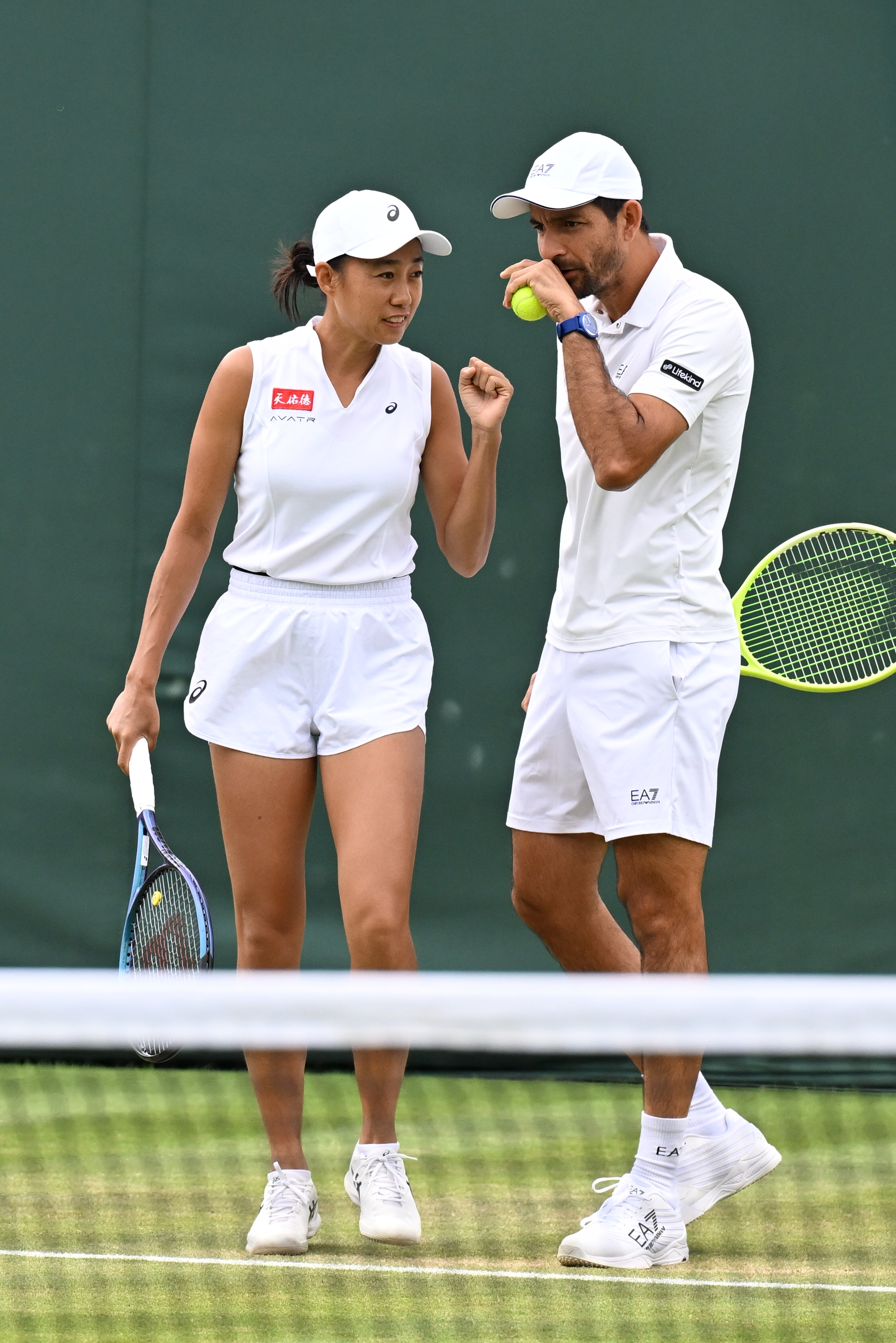 温网资格赛即将开打